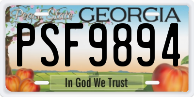 GA license plate PSF9894