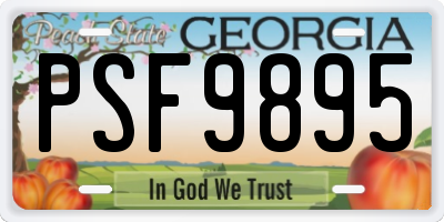 GA license plate PSF9895