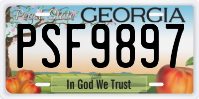 GA license plate PSF9897