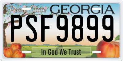 GA license plate PSF9899