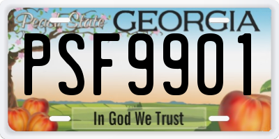 GA license plate PSF9901