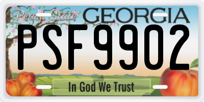 GA license plate PSF9902