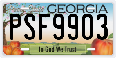GA license plate PSF9903