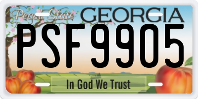 GA license plate PSF9905