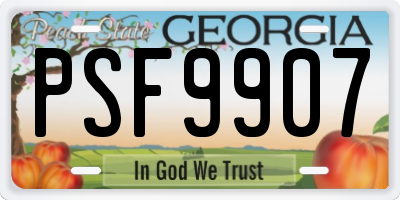 GA license plate PSF9907
