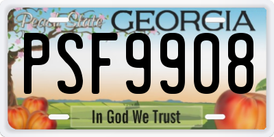 GA license plate PSF9908