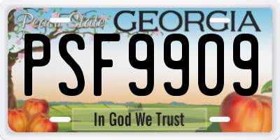 GA license plate PSF9909