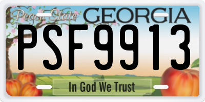 GA license plate PSF9913