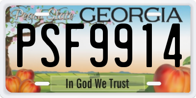GA license plate PSF9914