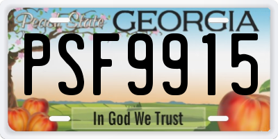 GA license plate PSF9915