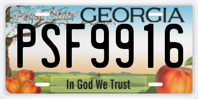 GA license plate PSF9916