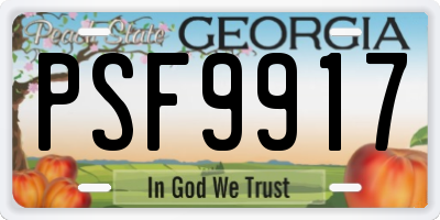 GA license plate PSF9917