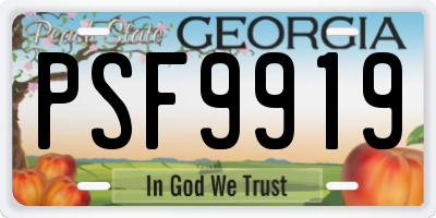 GA license plate PSF9919