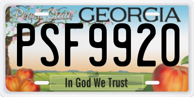 GA license plate PSF9920