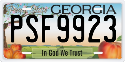 GA license plate PSF9923