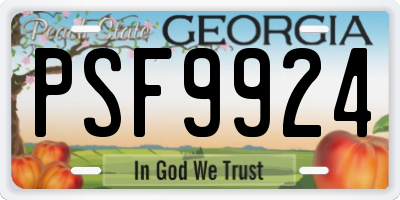 GA license plate PSF9924