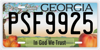 GA license plate PSF9925