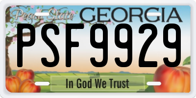 GA license plate PSF9929