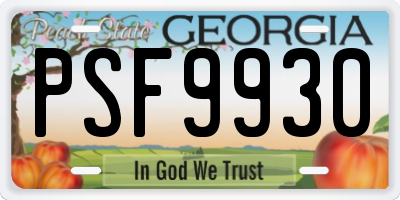 GA license plate PSF9930
