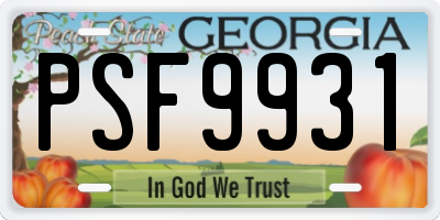 GA license plate PSF9931