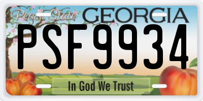 GA license plate PSF9934