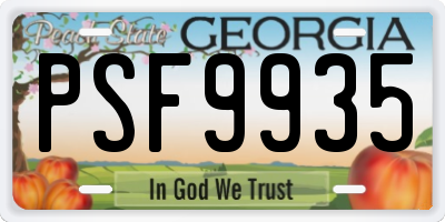 GA license plate PSF9935