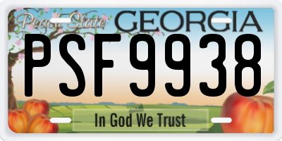 GA license plate PSF9938