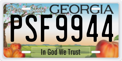GA license plate PSF9944
