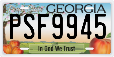 GA license plate PSF9945
