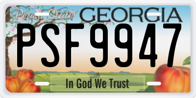 GA license plate PSF9947