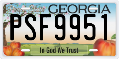 GA license plate PSF9951