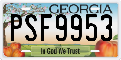 GA license plate PSF9953