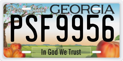 GA license plate PSF9956