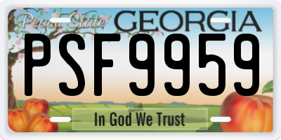 GA license plate PSF9959