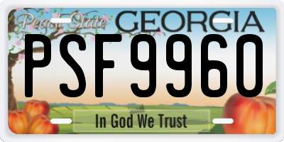 GA license plate PSF9960