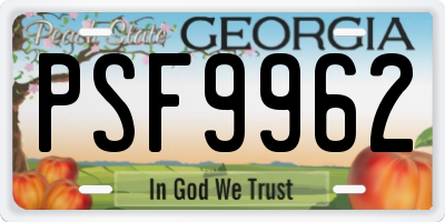 GA license plate PSF9962