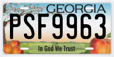 GA license plate PSF9963