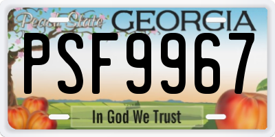 GA license plate PSF9967