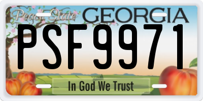 GA license plate PSF9971