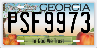 GA license plate PSF9973