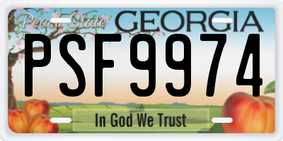 GA license plate PSF9974
