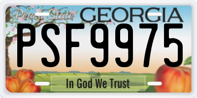 GA license plate PSF9975