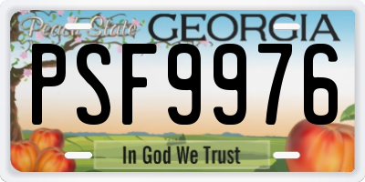 GA license plate PSF9976