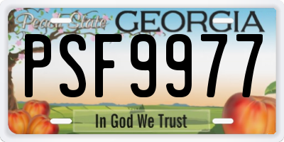 GA license plate PSF9977