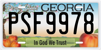 GA license plate PSF9978