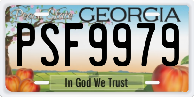 GA license plate PSF9979
