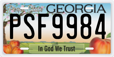 GA license plate PSF9984