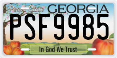 GA license plate PSF9985