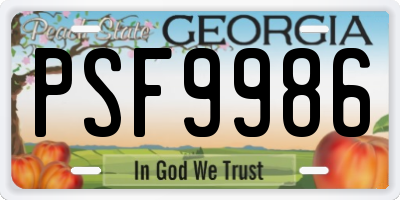 GA license plate PSF9986