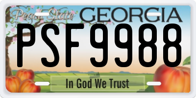 GA license plate PSF9988